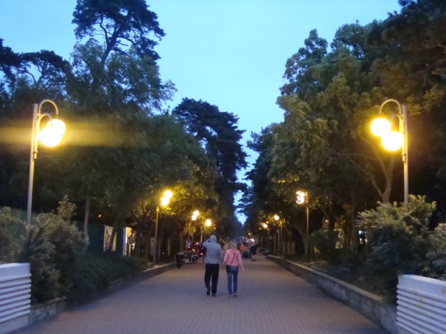 dsc08107.jpg