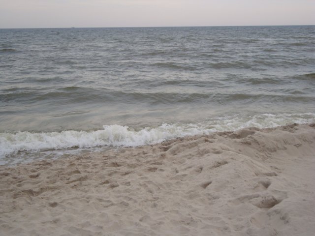 dsc08230.jpg